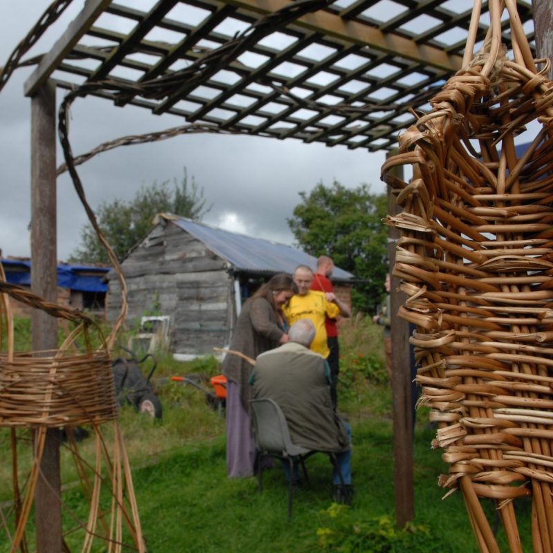 People weaving with willow on an allotment