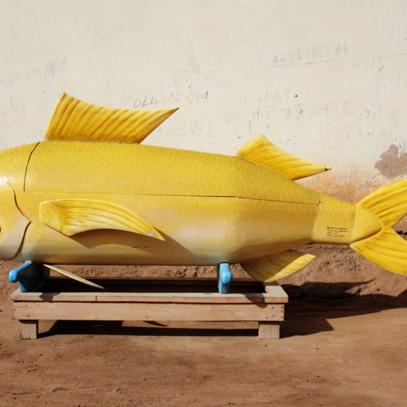Wodden yellow fish shaped coffin