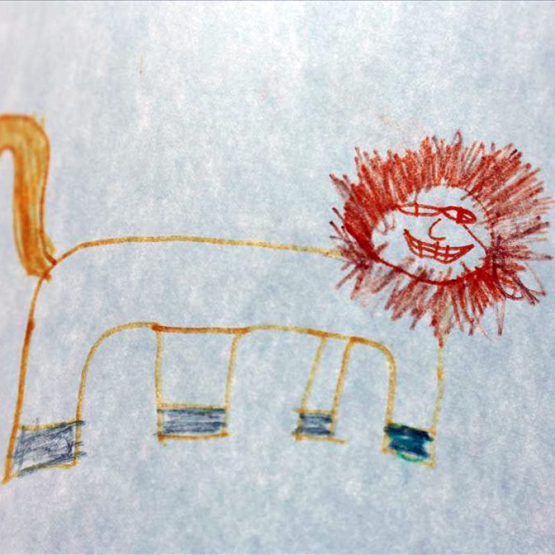 Childs drawing of a lion