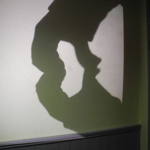 Shadow silhouette of hands