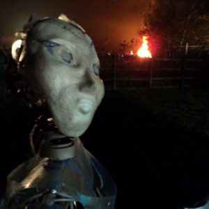 Puppet at Newstead Bonfire Night