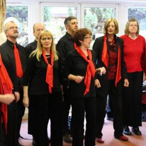 Choir entertian older people