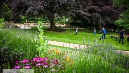 hospice garden