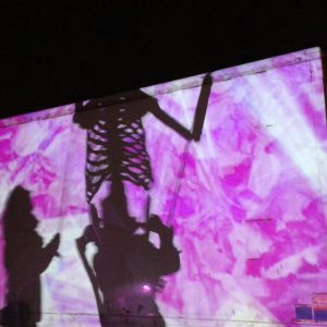 Digital projections and puppet
