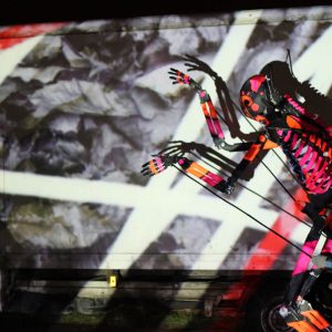 Digital projections and puppet