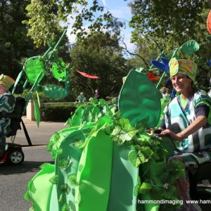 Mobility Scooters at Nottingham Carnival