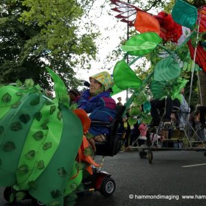 Mobility Scooters at Nottingham Carnival