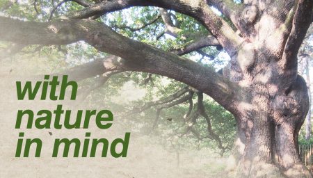 with nature in mind