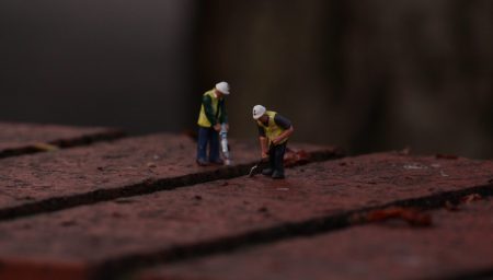 Macro photograph