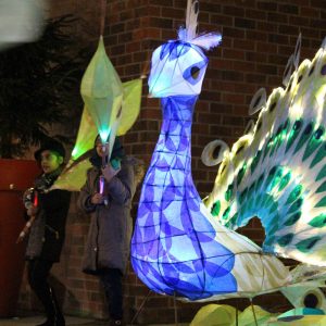 Peacock lantern