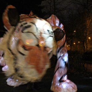 Tiger puppet