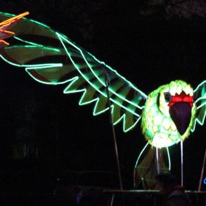 Illuminated bird puppets