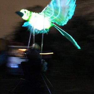 Illuminated bird puppets