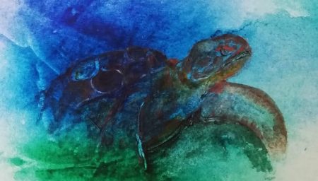 Watercolour painting of turtle