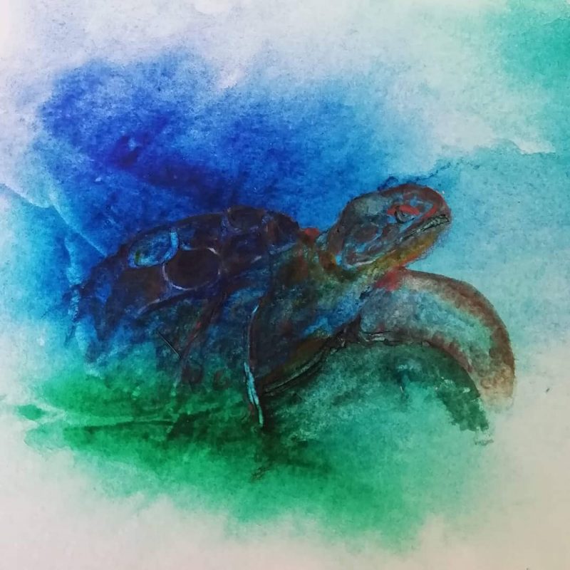 Watercolour painting of turtle