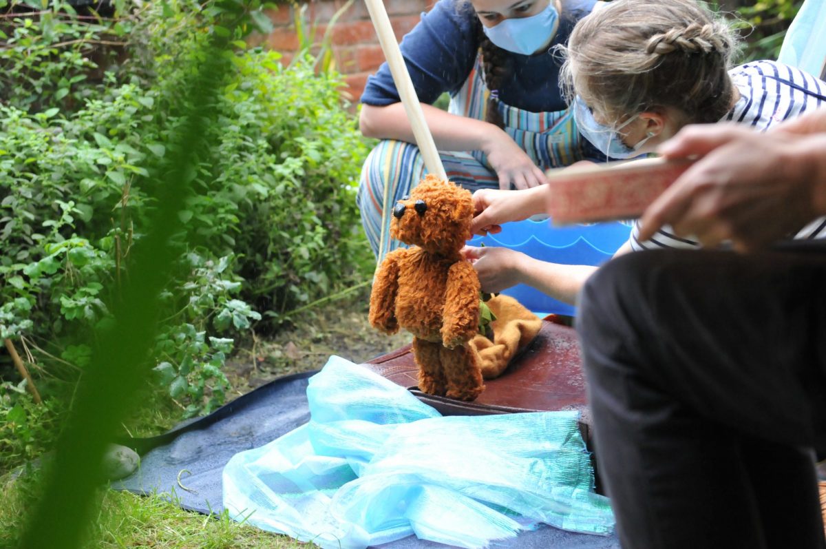 Teddy bear puppet in a garden