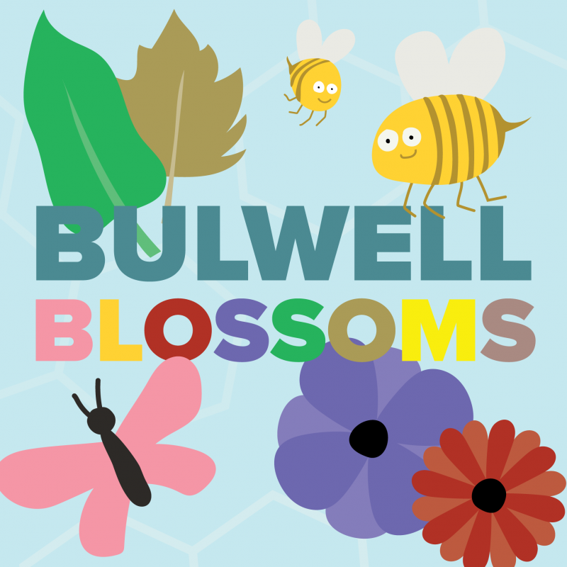 Bulwell Blossom