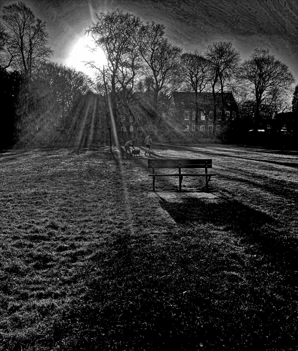 Black & White Photograph. An empty bench in a Derbyshire park.