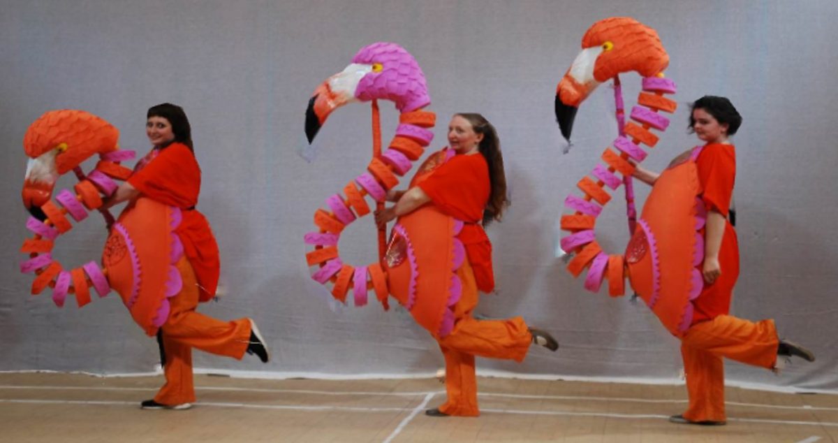 Jess Kemp in a flamingo costume