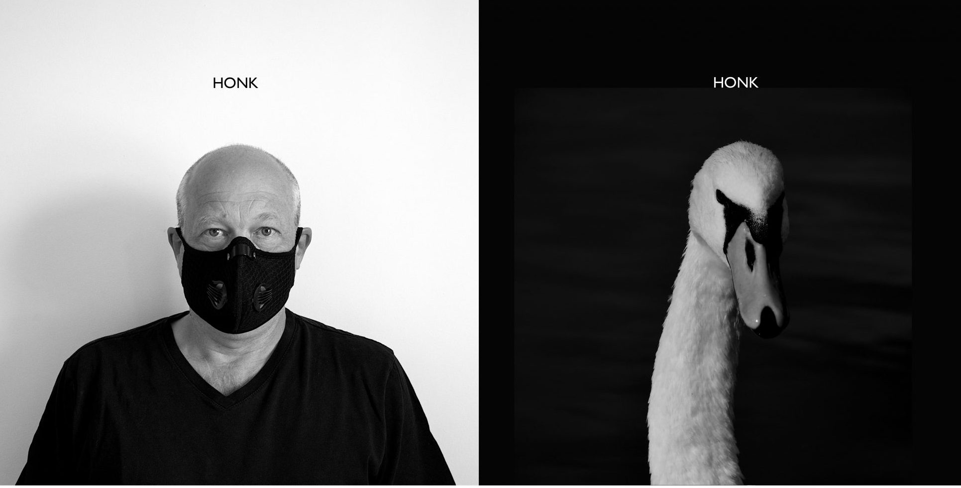Photo of Simon Wither wearing a face mask, with the word 'Honk' above him. Next to a photo of a swan's head with the word 'Honk' above it.