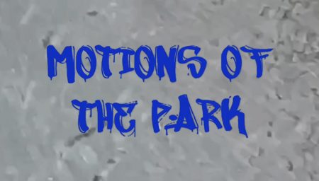 Motions of the Park