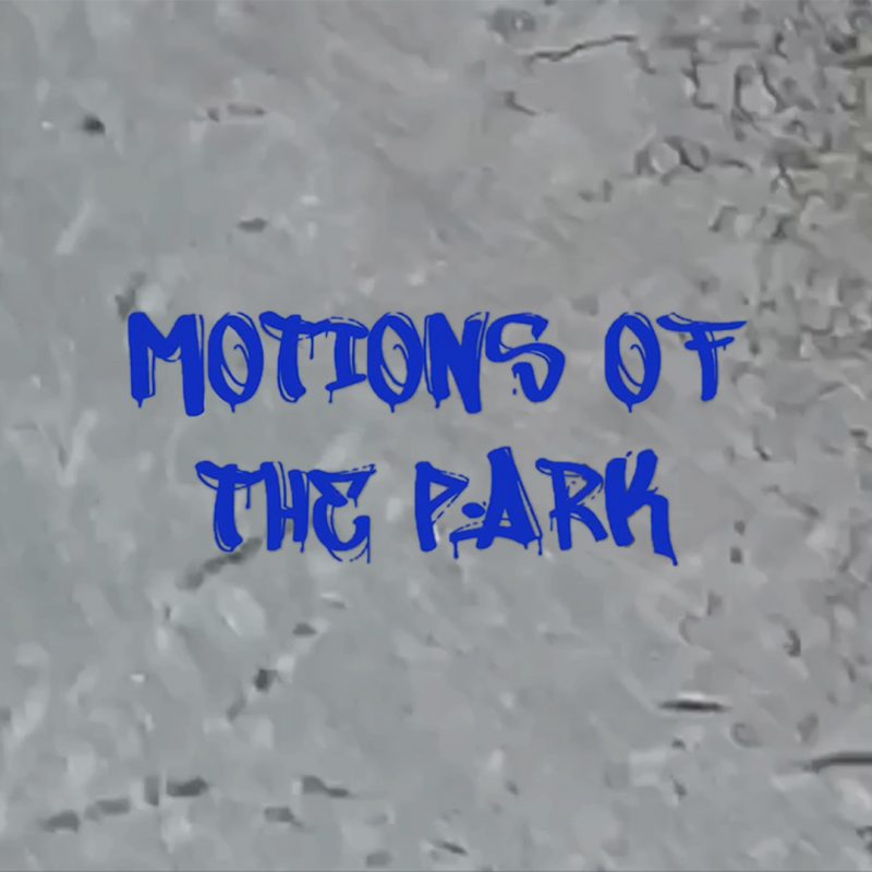 Motions of the Park
