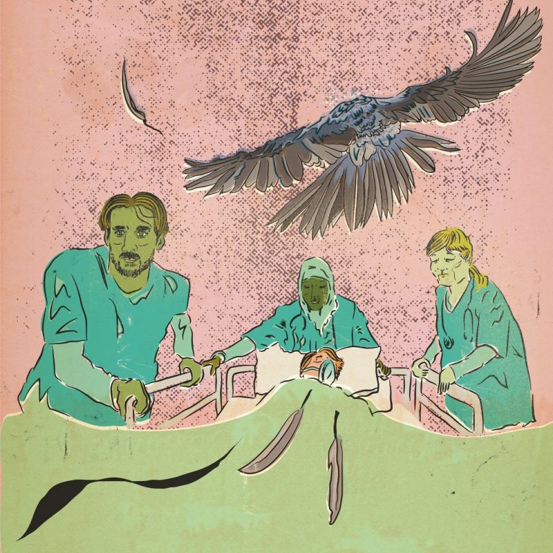 Illustration of three nurses pushing a hospital bed. An eagle flys above it.