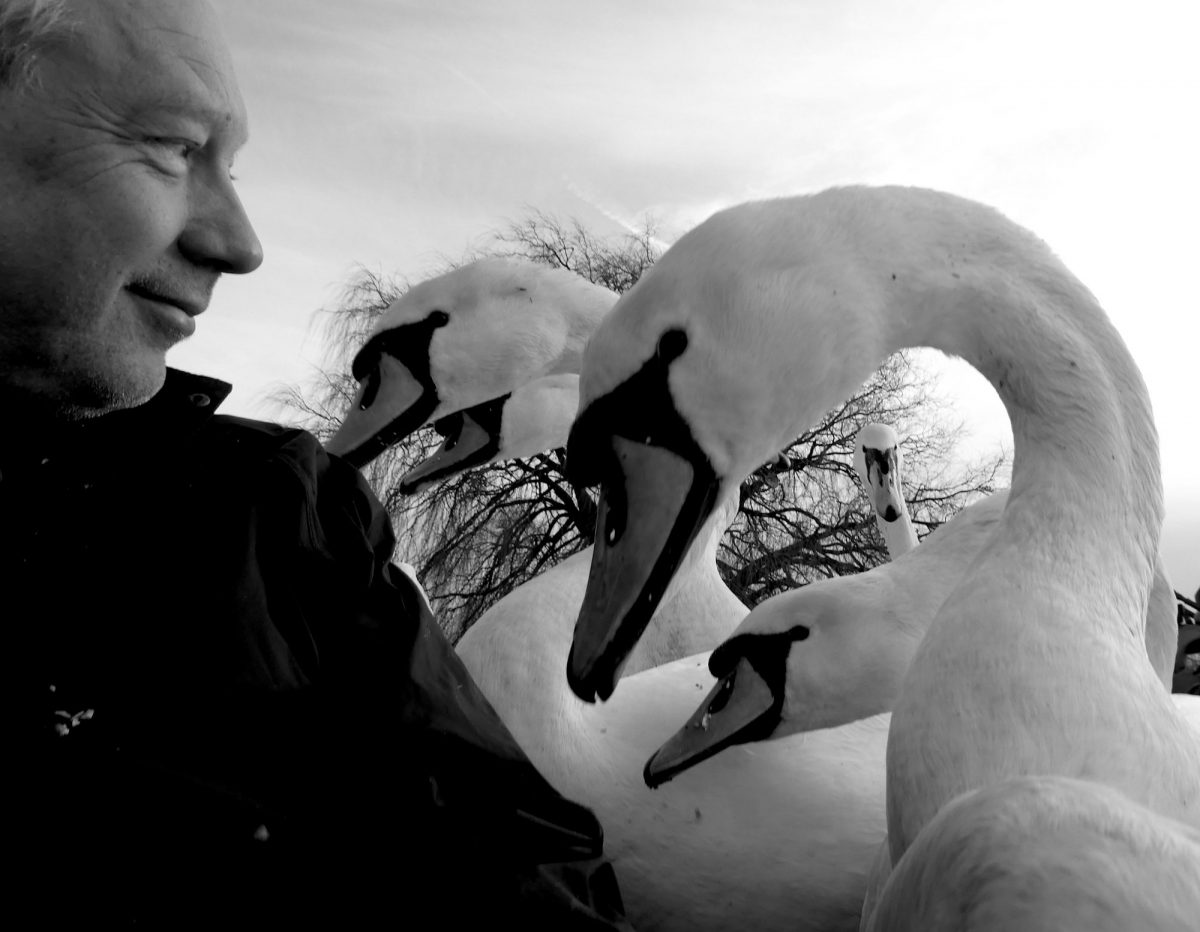 Simon Withers looking at some swans